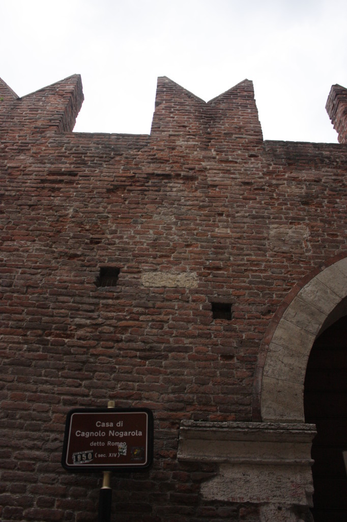 IMG_9077-682x1024