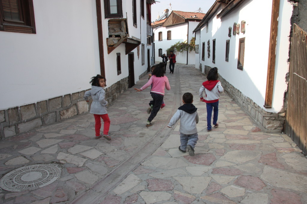 IMG_2892-1024x681