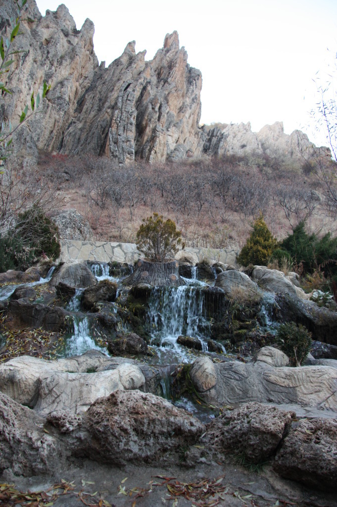 IMG_3230-681x1024