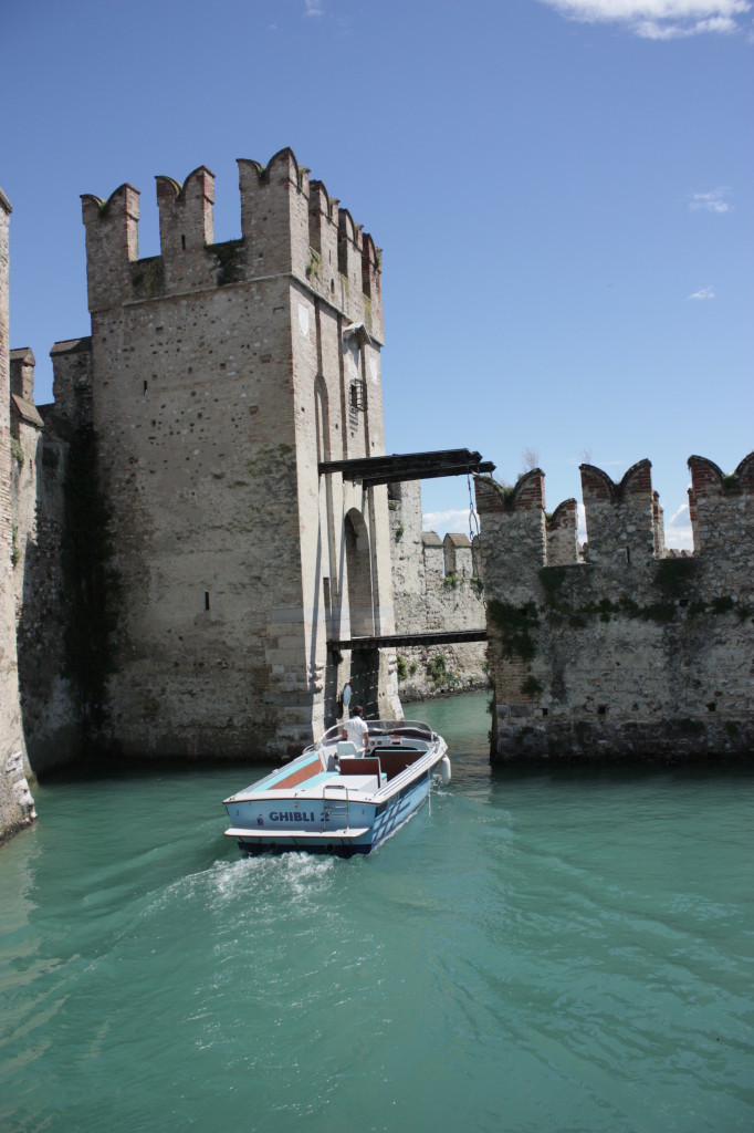 IMG_8659-682x1024