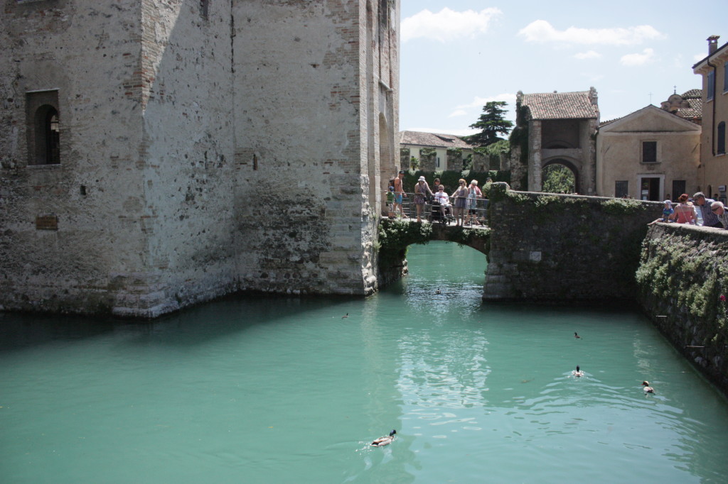 IMG_8910-1024x682