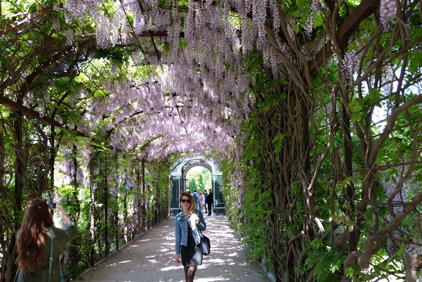 Schönbrunn Sarayı