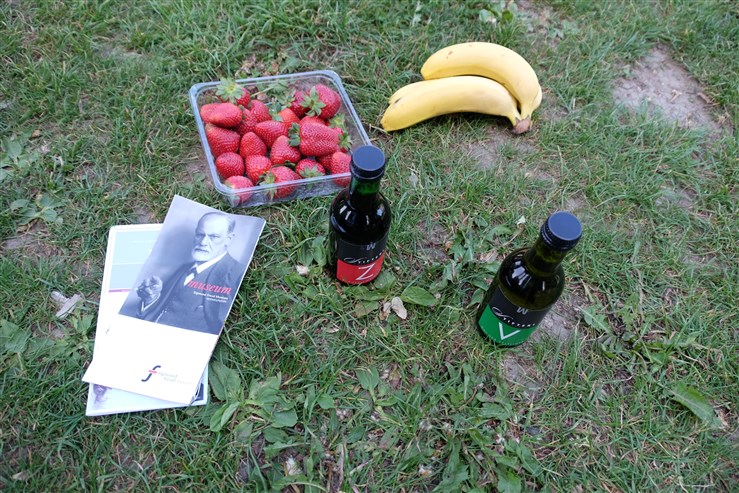 Sigmund-Freud-Park