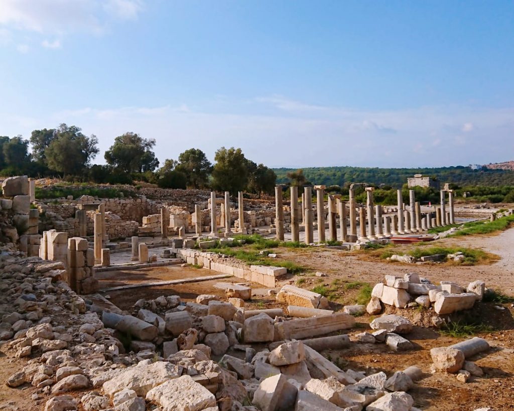 2020 Patara Yılı